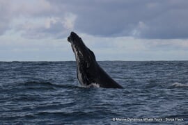 Next Trips: 6 + 7 September 2024