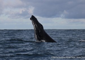 Next Trips: 6 + 7 September 2024