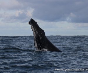 Next Trips: 6 + 7 September 2024