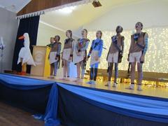 Gansies Triomfeer met Groot Brag