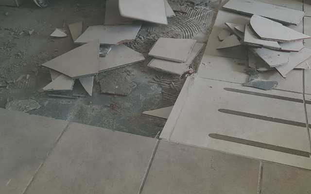 WhatsApp_Image_2024_09_06_at_10.21.49_1725614264