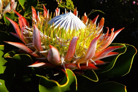 437554623_10229126734010272_4783974592244405974_n_1725871690