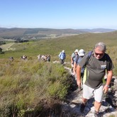 Hiking - Strandveld Hiking Club - Xplorio™ Gansbaai