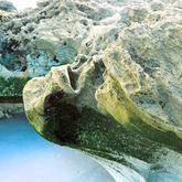 Hiking - Strandveld Hiking Club - Xplorio™ Gansbaai