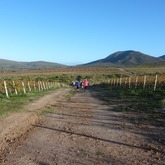 Hiking - Strandveld Hiking Club - Xplorio™ Gansbaai