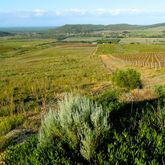 Hiking - Strandveld Hiking Club - Xplorio™ Gansbaai