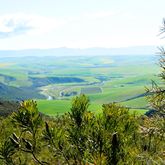 Hiking - Strandveld Hiking Club - Xplorio™ Gansbaai