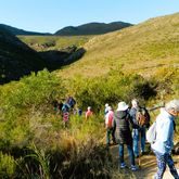 Hiking - Strandveld Hiking Club - Xplorio™ Gansbaai