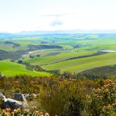 Hiking - Strandveld Hiking Club - Xplorio™ Gansbaai