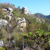 Hiking - Strandveld Hiking Club - Xplorio™ Gansbaai