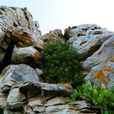 Hiking - Strandveld Hiking Club - Xplorio™ Gansbaai