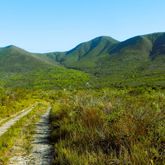 Hiking - Strandveld Hiking Club - Xplorio™ Gansbaai