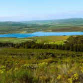 Hiking - Strandveld Hiking Club - Xplorio™ Gansbaai