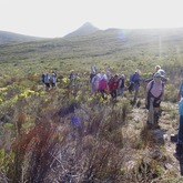 Hiking - Strandveld Hiking Club - Xplorio™ Gansbaai