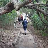 Hiking - Strandveld Hiking Club - Xplorio™ Gansbaai