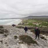 Hiking - Strandveld Hiking Club - Xplorio™ Gansbaai