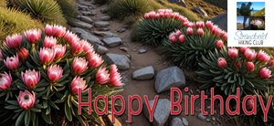 September Birthdays and Summer Programme