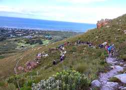 Gansbaai Mountain Hike: Scenic 9 km Trail on 14 September 2024