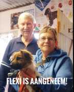 Susan Schanken Adopts Dog from BARC