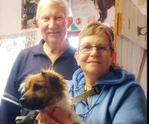 Susan Schanken Adopts Dog from BARC