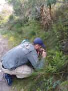 Springtails Research at Grootbos
