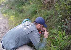 Springtails Research at Grootbos
