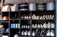 Curio_Shop_5_1725958470