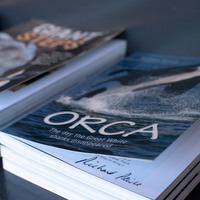 Curio Shop - Great White House - Xplorio™ Gansbaai