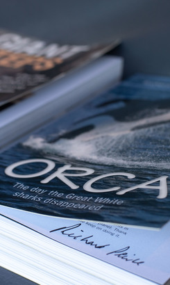 Curio_Shop_4_1725958494