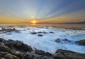 Celebrating Earth Hour - Week 12 Weekly Update