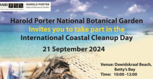 International Coastal Cleanup Day at Dawidskraal Beach