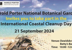 International Coastal Cleanup Day at Dawidskraal Beach
