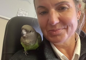 UN Biodiversity Conference 2024