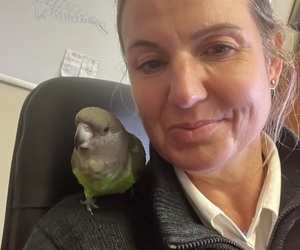 UN Biodiversity Conference 2024