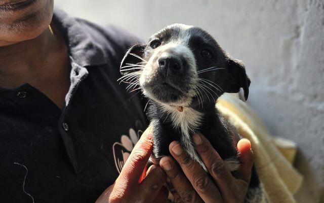 458526434_819225230413828_3092774408952273857_n_1726121625