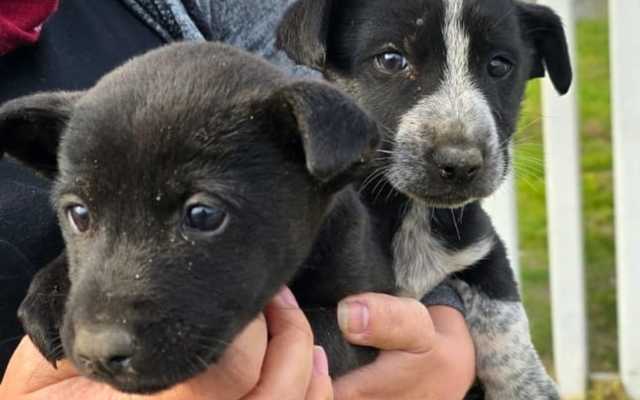 458734164_819225187080499_2524753343743919600_n_1726121624