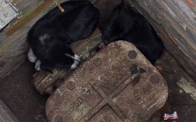 458941666_819225133747171_6095122557181567519_n_1726121623