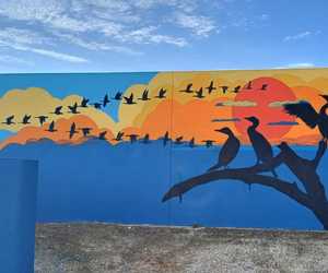 Gansbaai Mural Progress - Thank You Nation Builders!