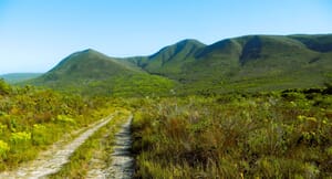 Pincushion Hill Hike: 11 May 2024