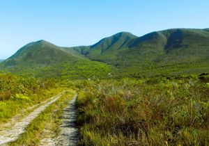 Pincushion Hill Hike: 11 May 2024