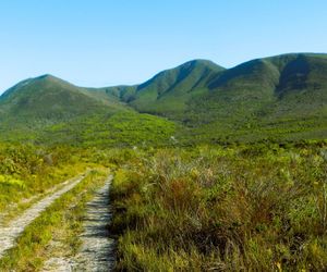 Pincushion Hill Hike: 11 May 2024