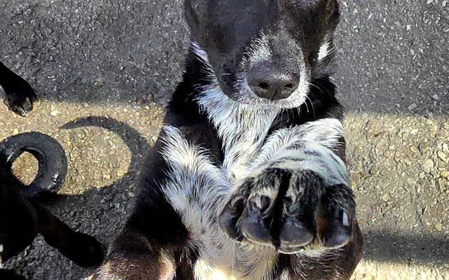 459050646_820256513644033_3979861937028300657_n_1726210338