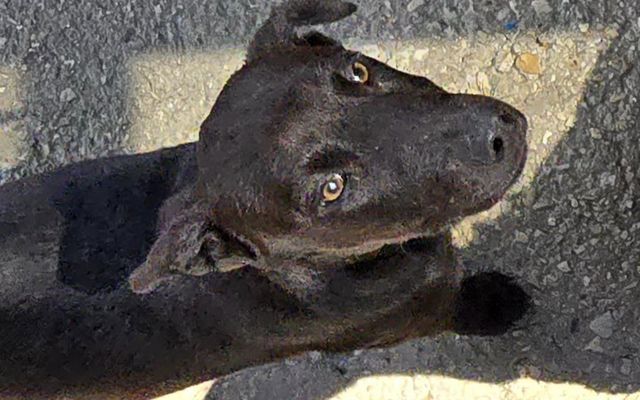 459205182_820256566977361_1454339100630040656_n_1726210339