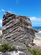 Peninsula Formation Sandstone in Mike's Garden