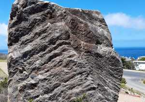 Peninsula Formation Sandstone in Mike's Garden