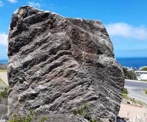 Peninsula Formation Sandstone in Mike's Garden