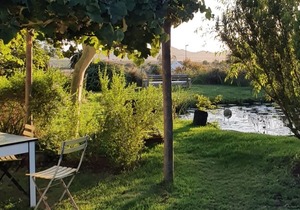 Escape to Foxy House in Baardskeerdersbos