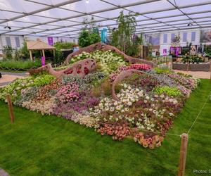 Award-Winning Artist’s Displays at Chelsea Flowers