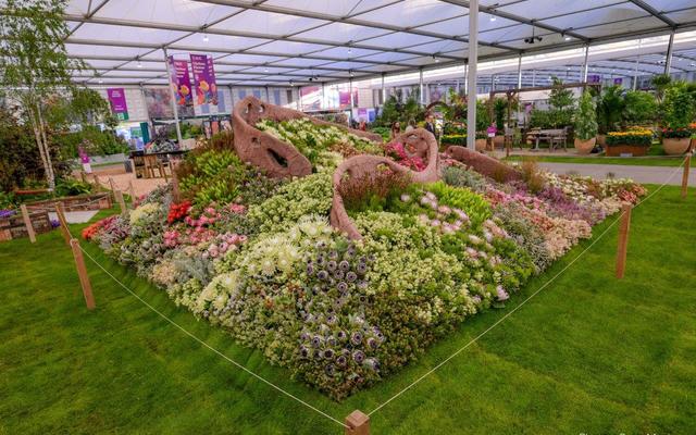 ChelseaDaleen4_1726471404