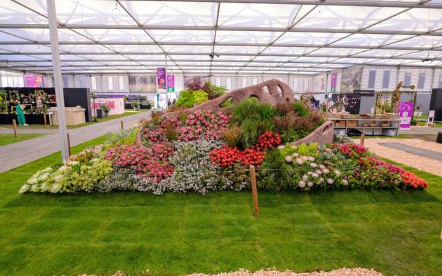 ChelseaDaleen6_1726471402